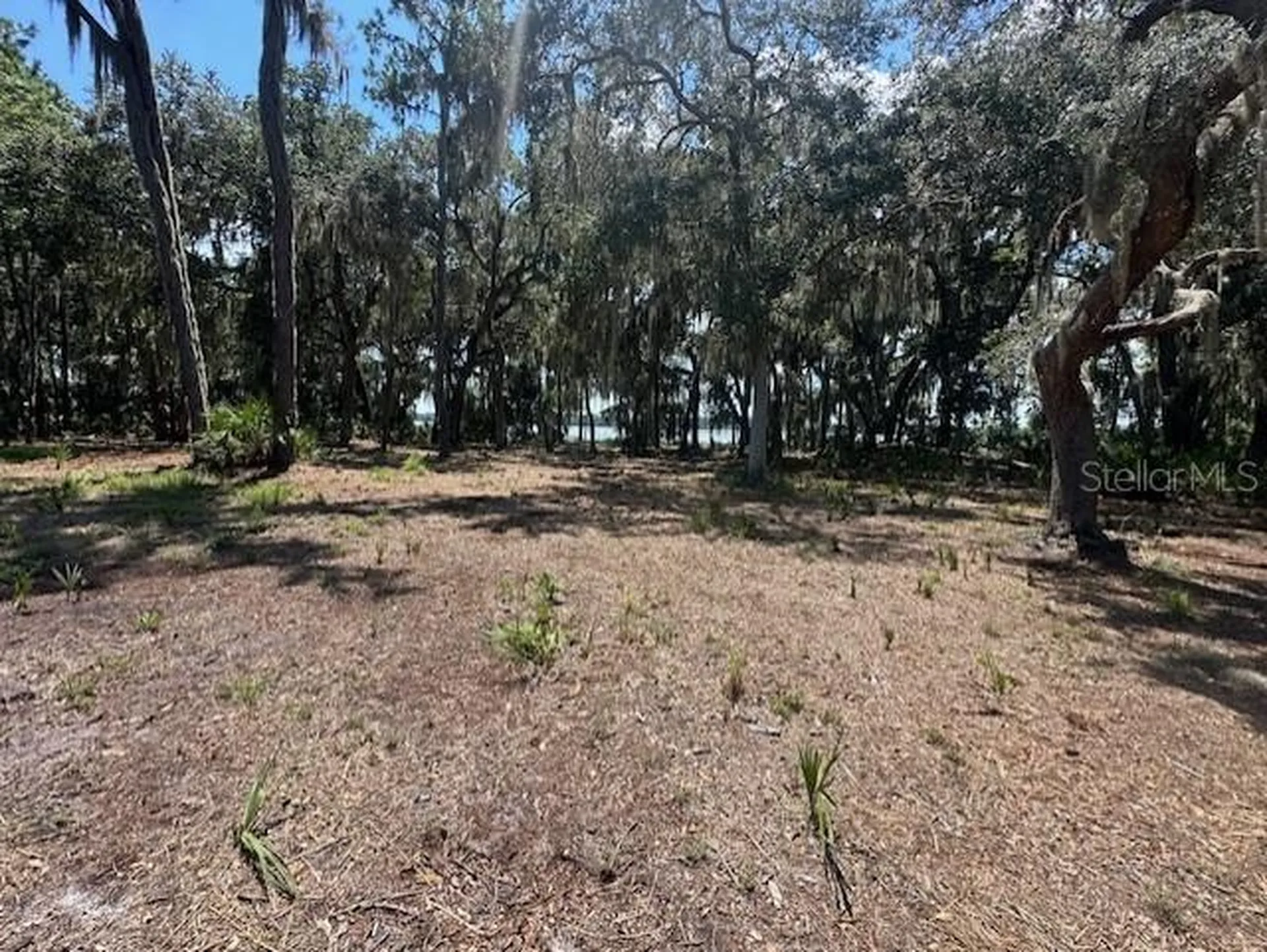 356 Drayton Island Road Georgetown FL 32139