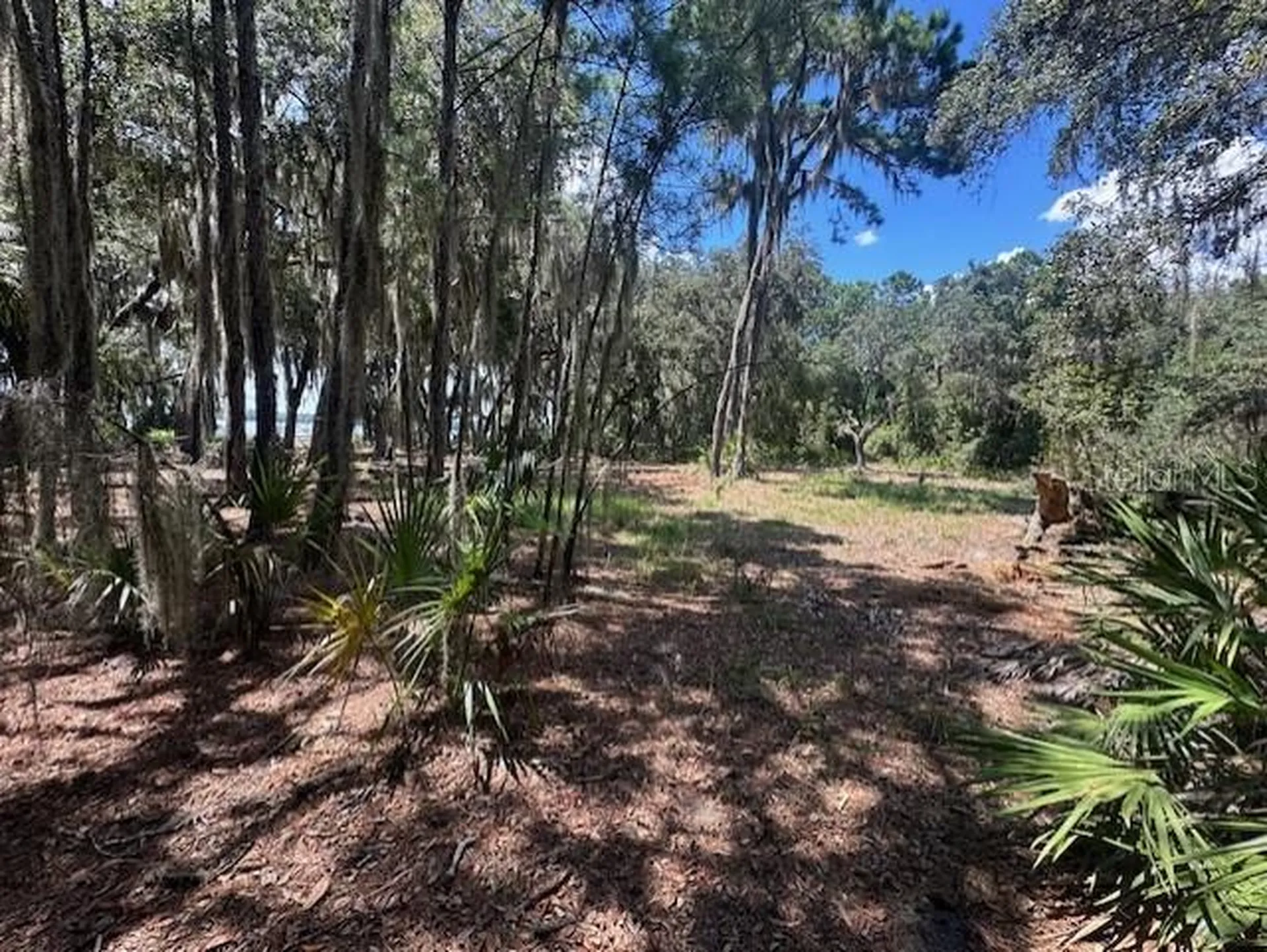 356 Drayton Island Road Georgetown FL 32139