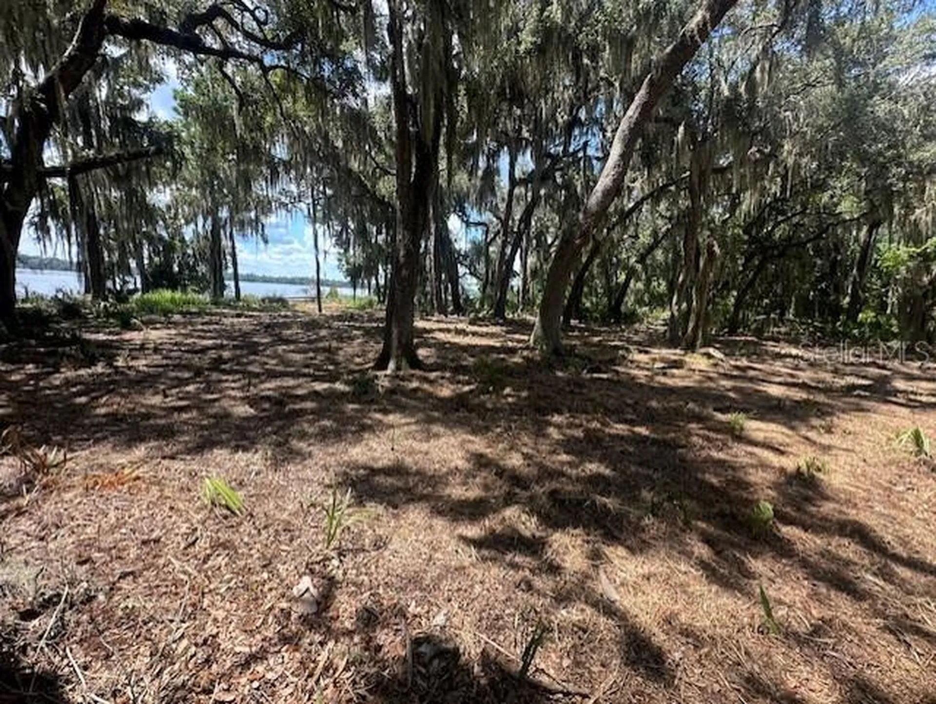 356 Drayton Island Road Georgetown FL 32139