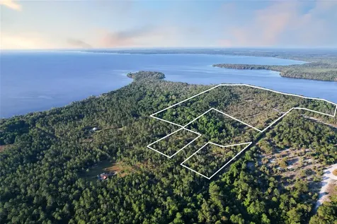356 Drayton Island Road Georgetown FL 32139