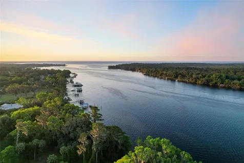 356 Drayton Island Road Georgetown FL 32139
