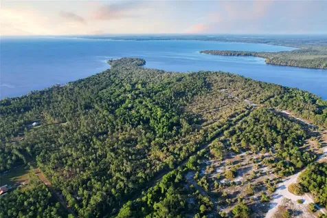 356 Drayton Island Road Georgetown FL 32139