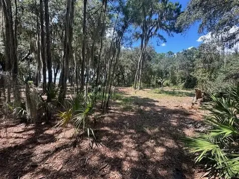 356 Drayton Island Road Georgetown FL 32139