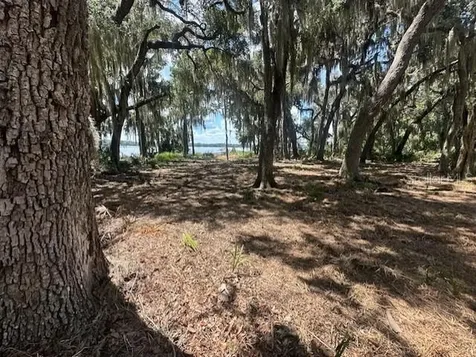 356 Drayton Island Road Georgetown FL 32139