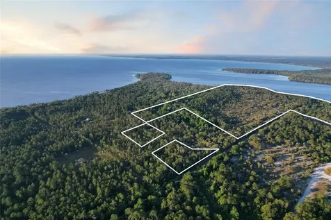 356 Drayton Island Road Georgetown FL 32139