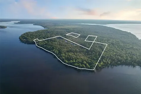 356 Drayton Island Road Georgetown FL 32139