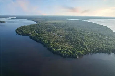 356 Drayton Island Road Georgetown FL 32139