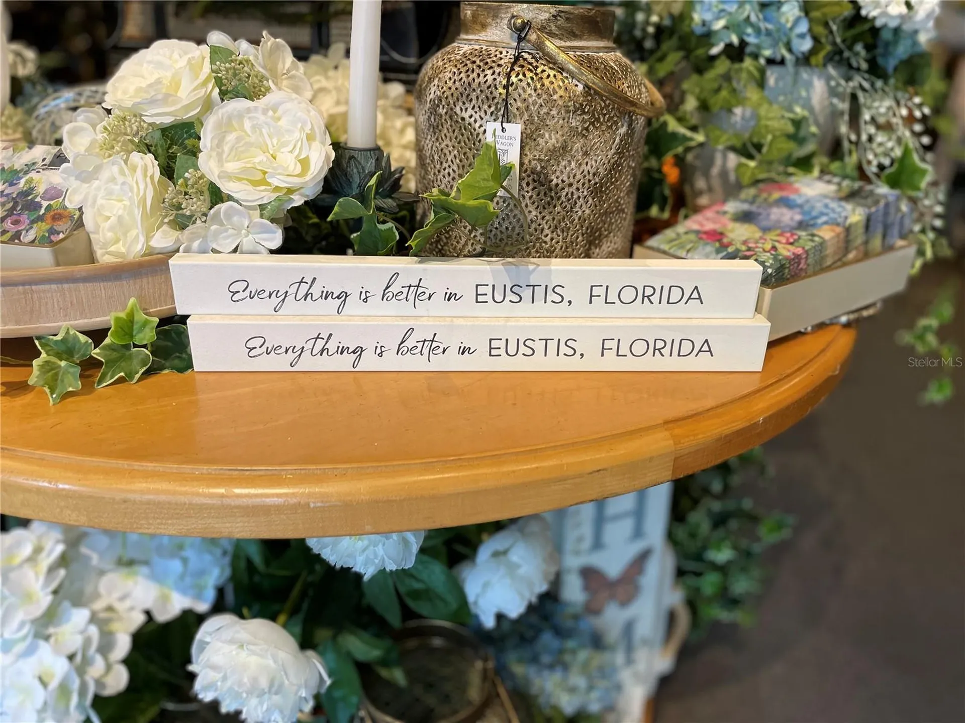 24 E Magnolia Avenue Eustis FL 32726