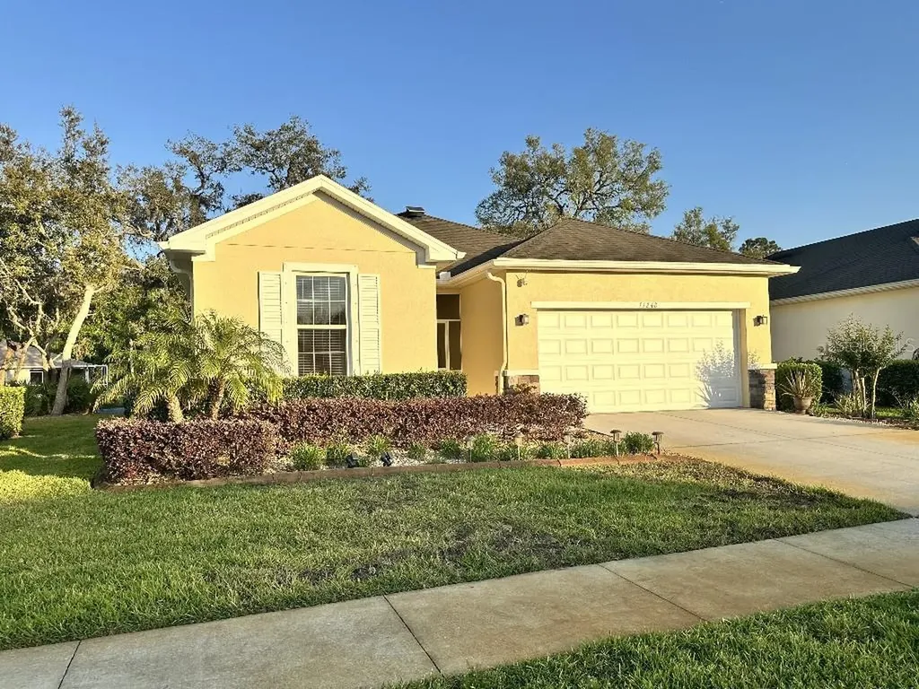 11248 Mollymawk Court New Port Richey FL 34654