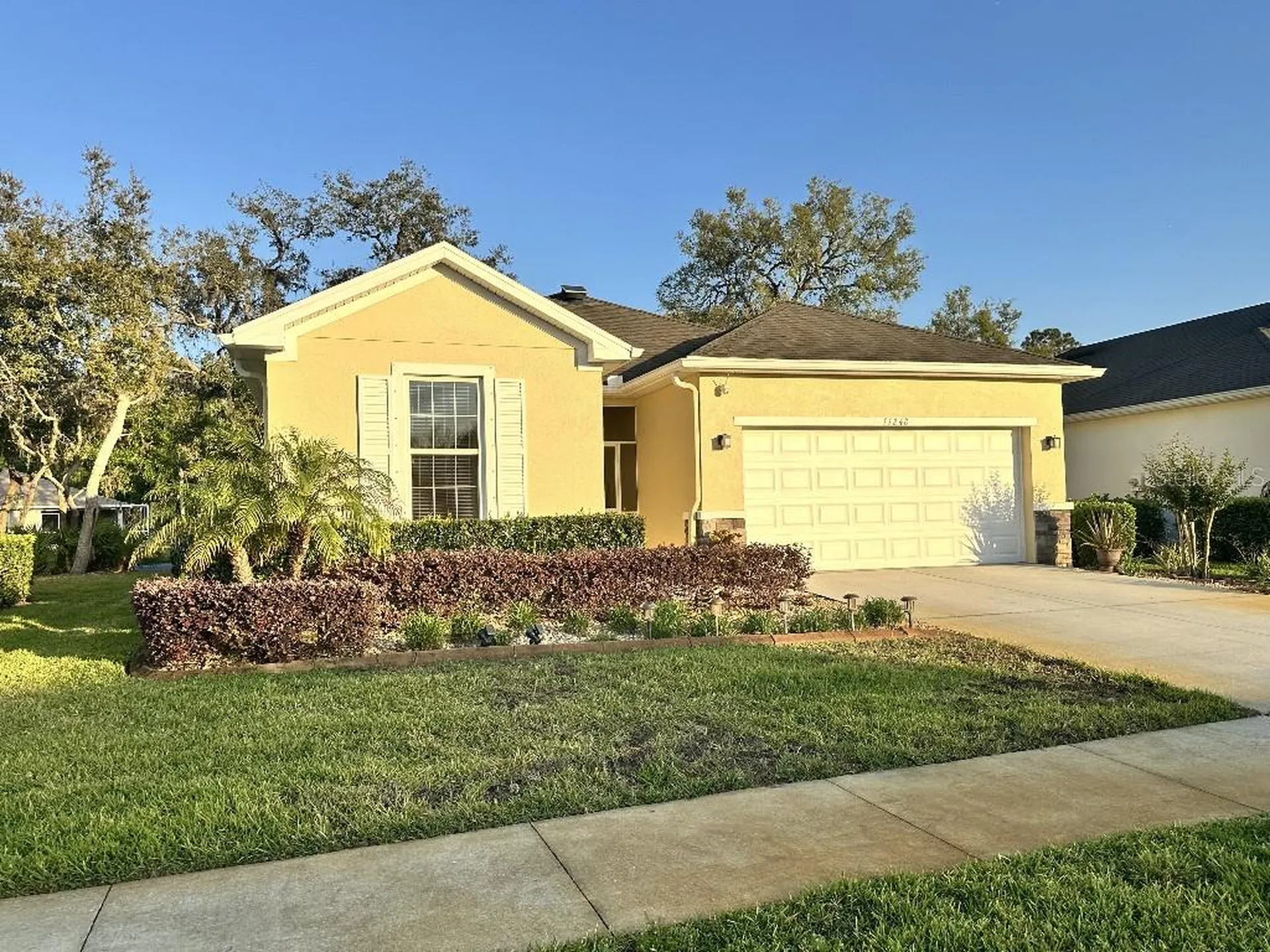 11248 Mollymawk Court New Port Richey FL 34654