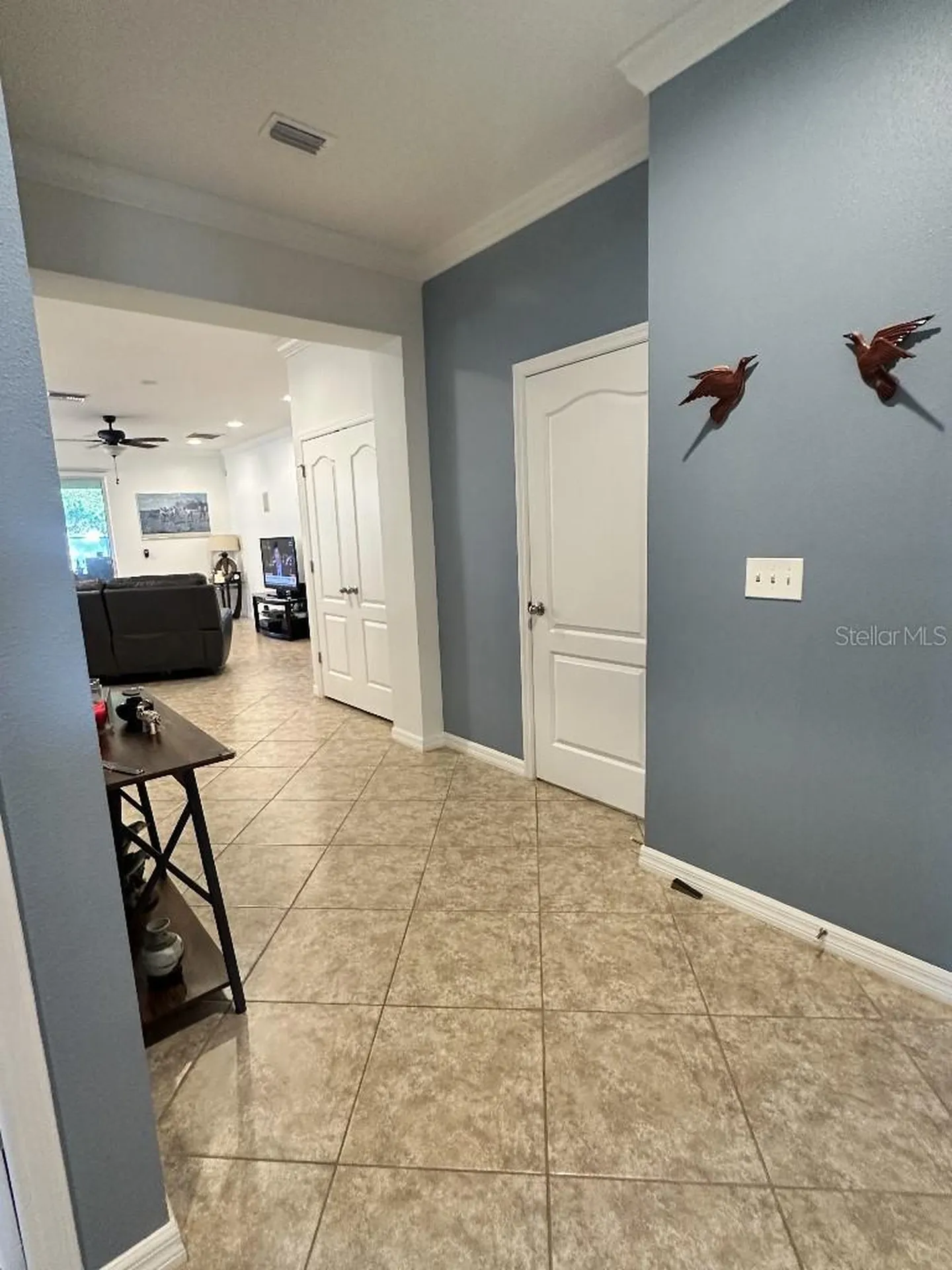 11248 Mollymawk Court New Port Richey FL 34654