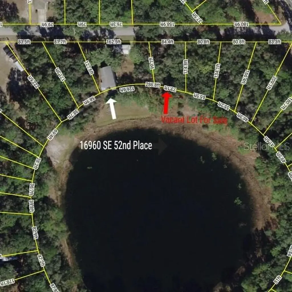 Tbd SE 52nd Place Ocklawaha FL 32179