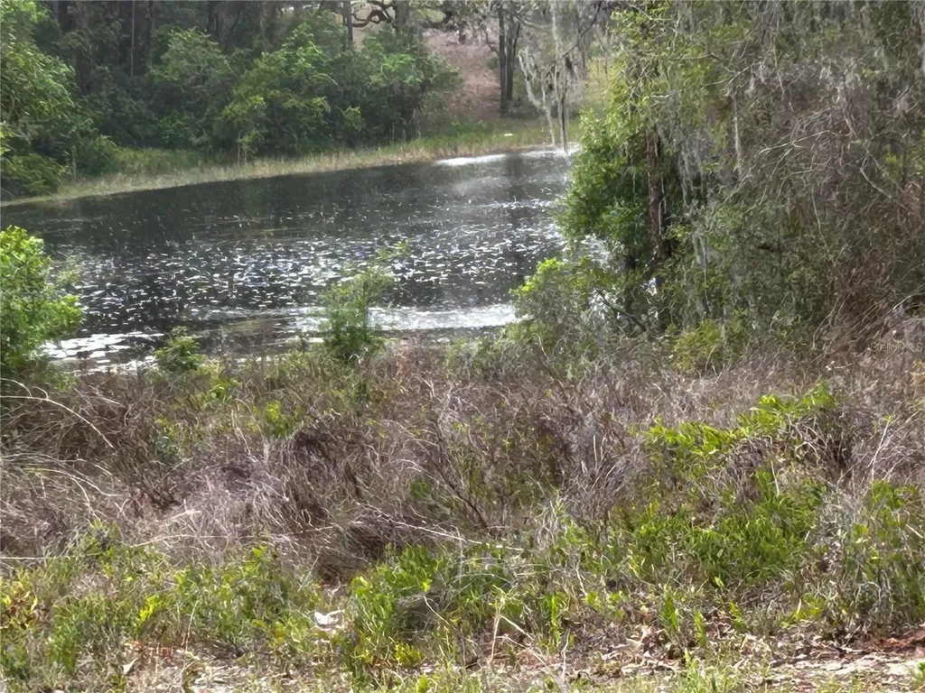Tbd SE 52nd Place Ocklawaha FL 32179