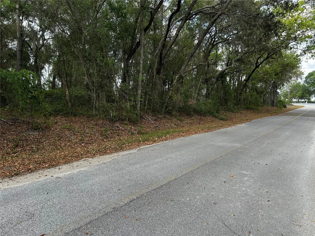 Tbd SE 52nd Place Ocklawaha FL 32179