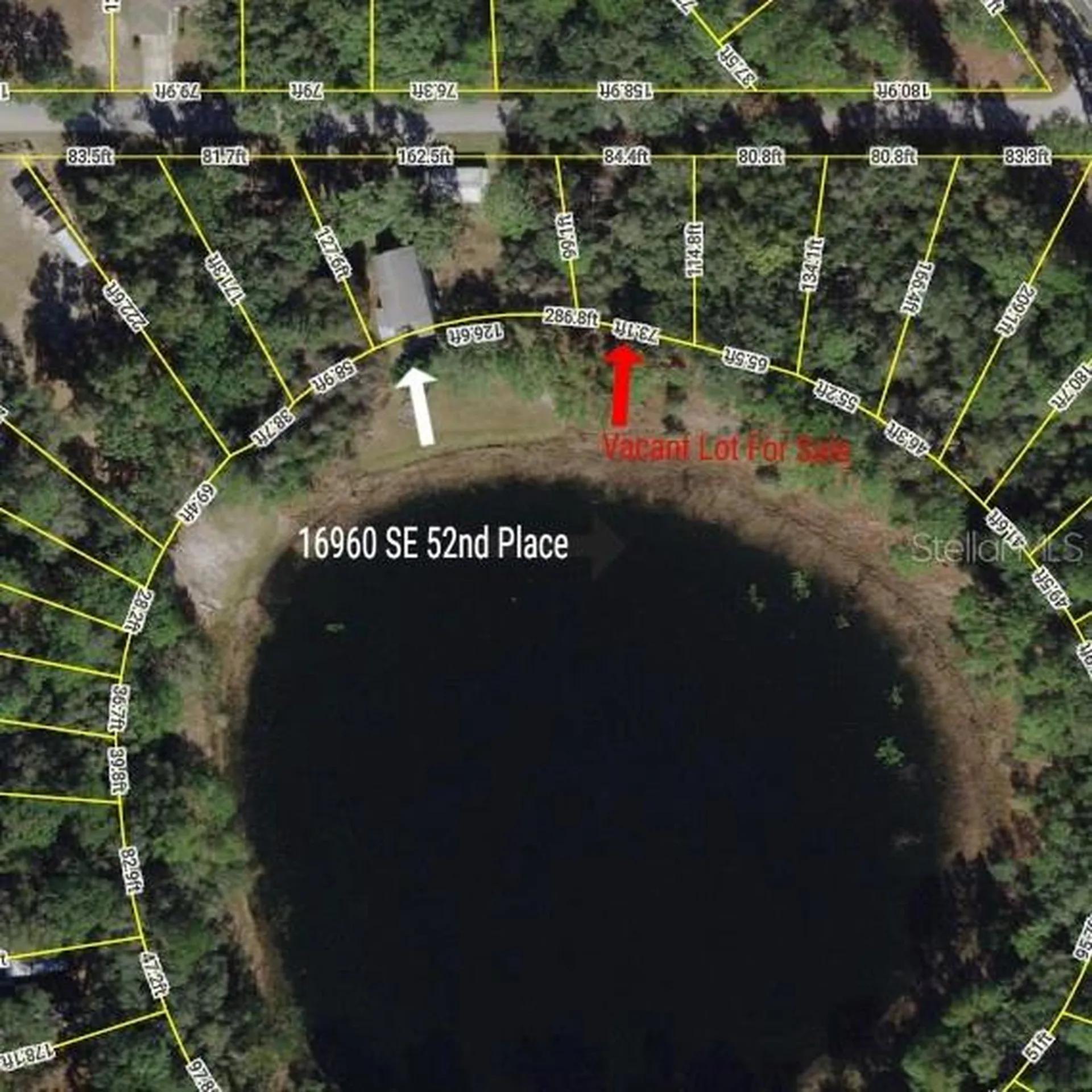 Tbd SE 52nd Place Ocklawaha FL 32179