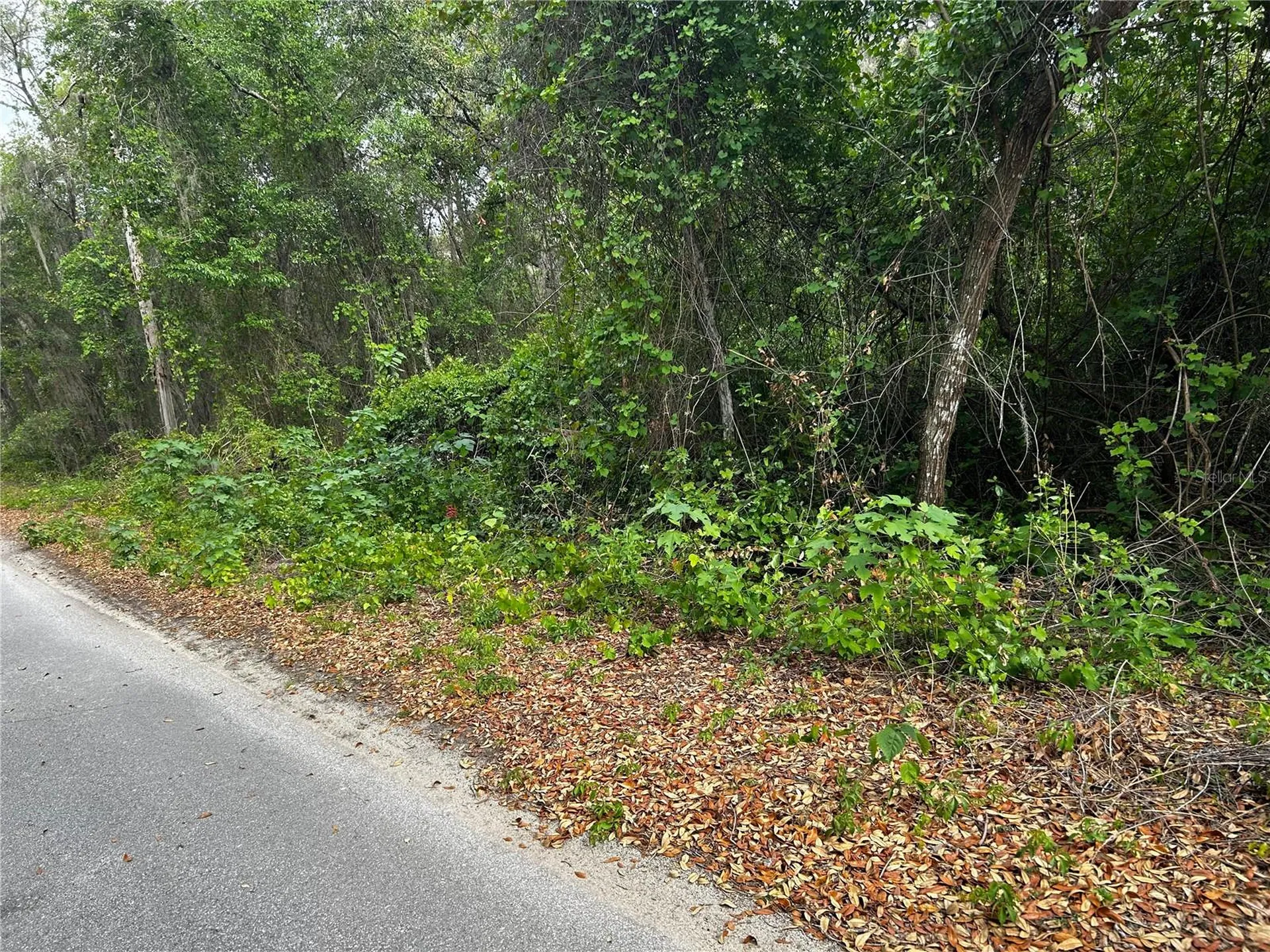 Tbd SE 52nd Place Ocklawaha FL 32179