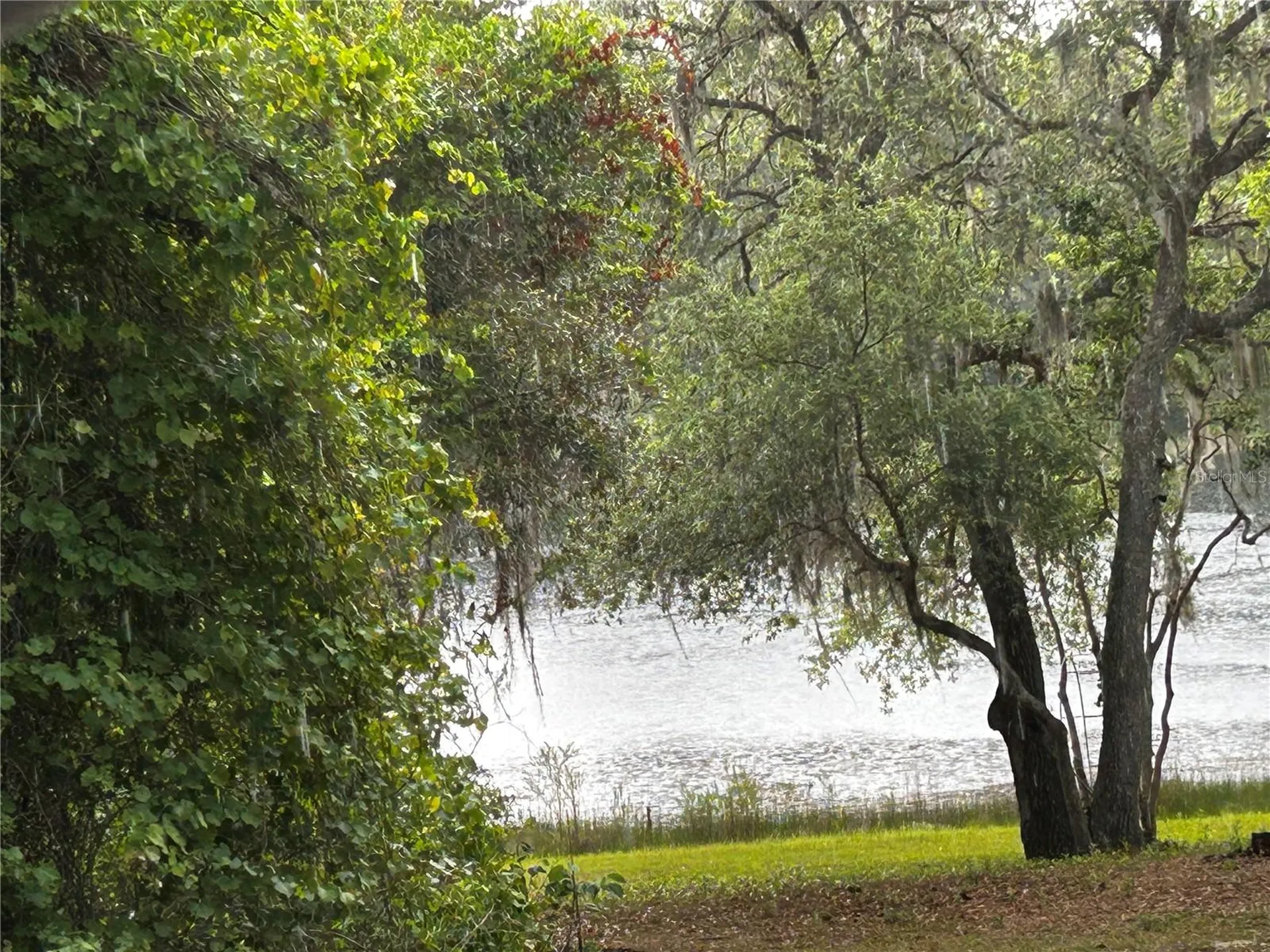 Tbd SE 52nd Place Ocklawaha FL 32179