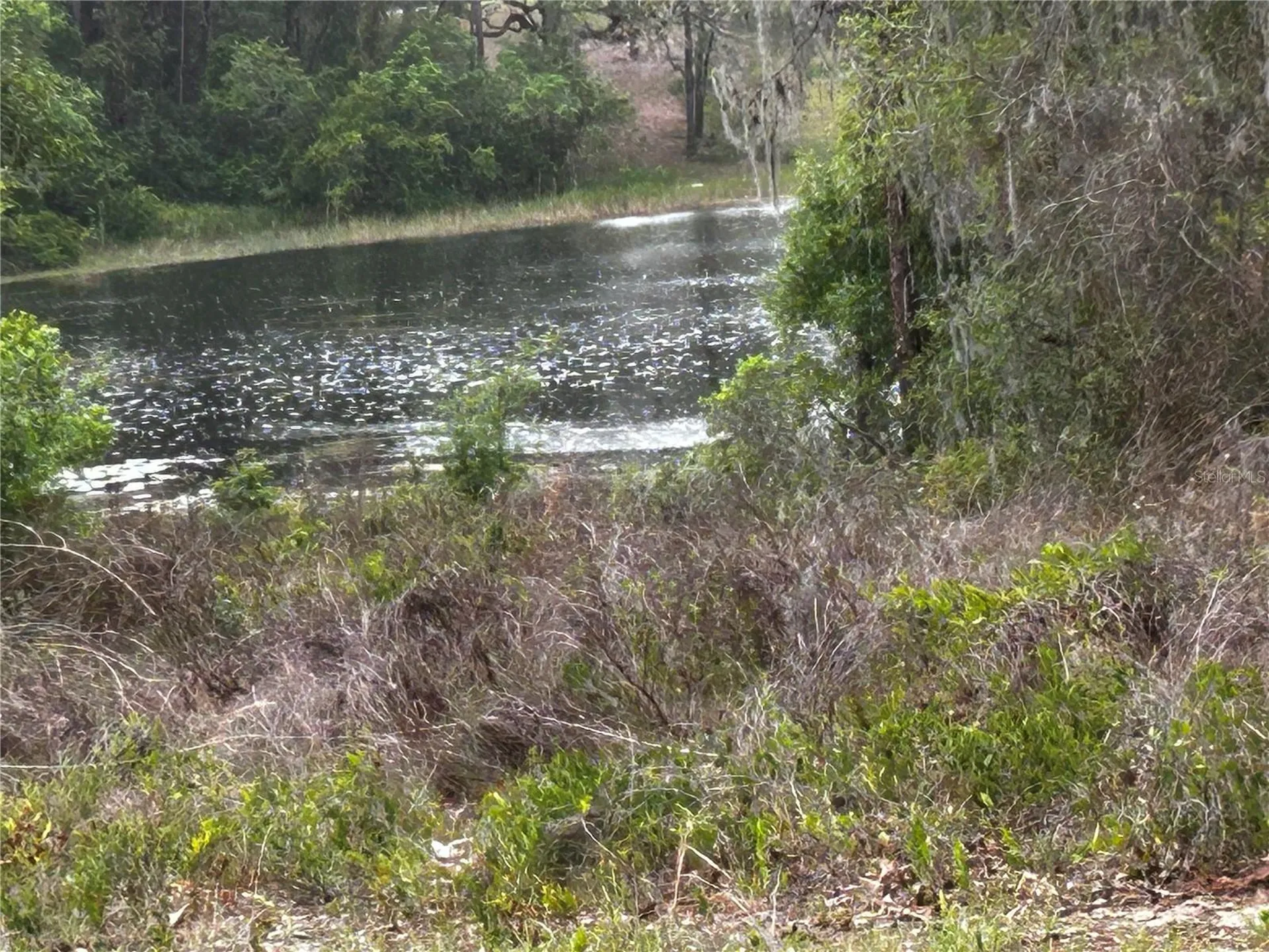 Tbd SE 52nd Place Ocklawaha FL 32179