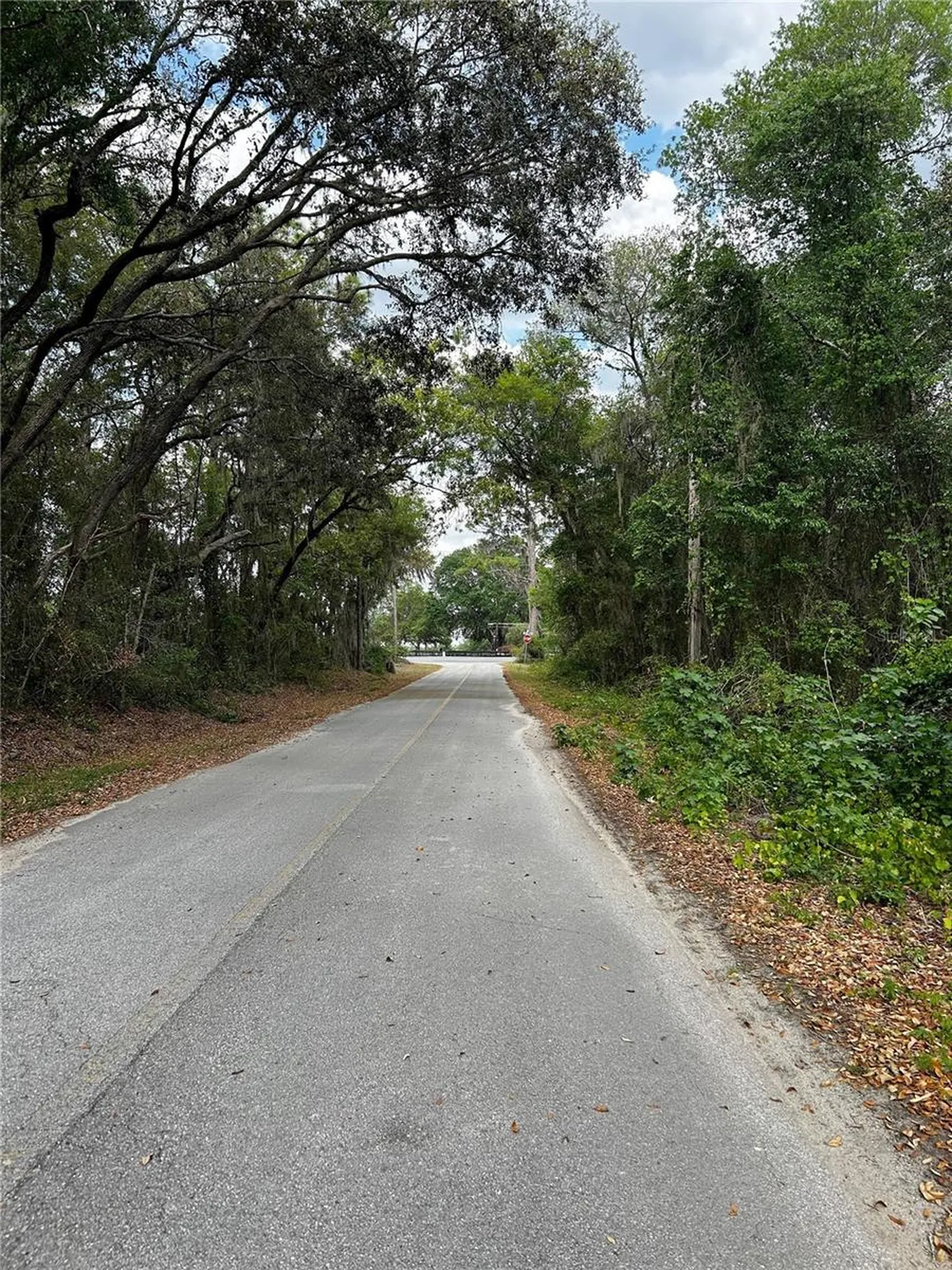 Tbd SE 52nd Place Ocklawaha FL 32179