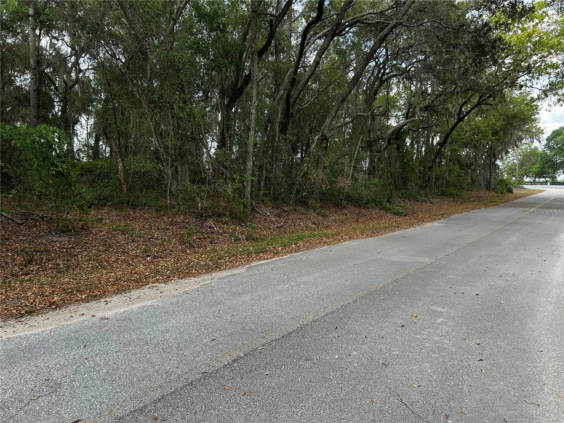 Tbd SE 52nd Place Ocklawaha FL 32179