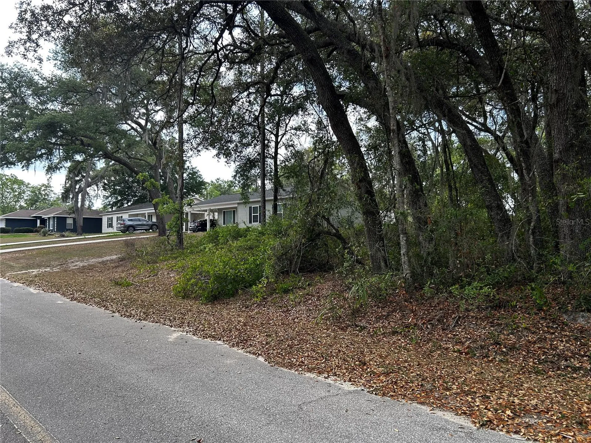 Tbd SE 52nd Place Ocklawaha FL 32179