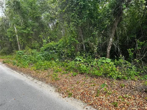 Tbd SE 52nd Place Ocklawaha FL 32179