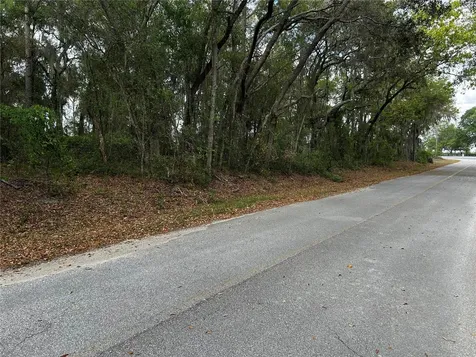 Tbd SE 52nd Place Ocklawaha FL 32179