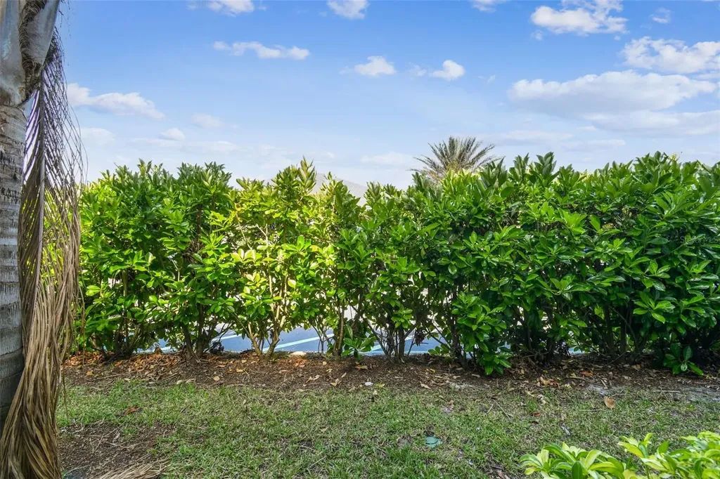 1231 Godavari Way Wesley Chapel FL 33543