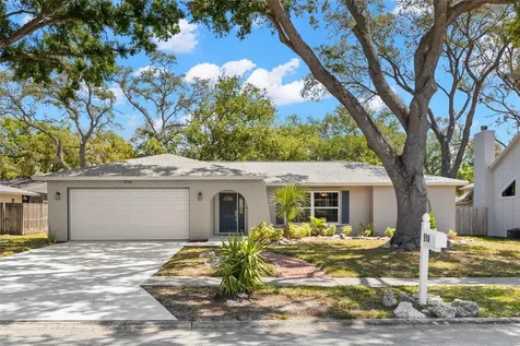 914 Woodland Drive Palm Harbor FL 34683