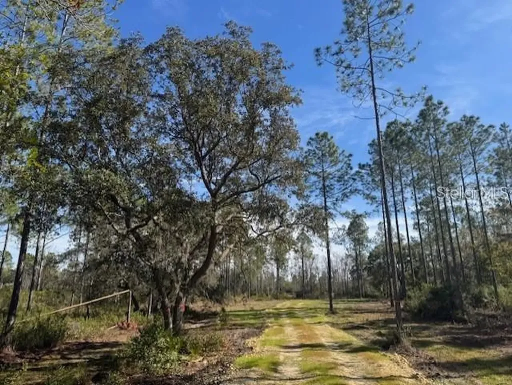 NE 150th Avenue Road Fort Mc Coy FL 32134
