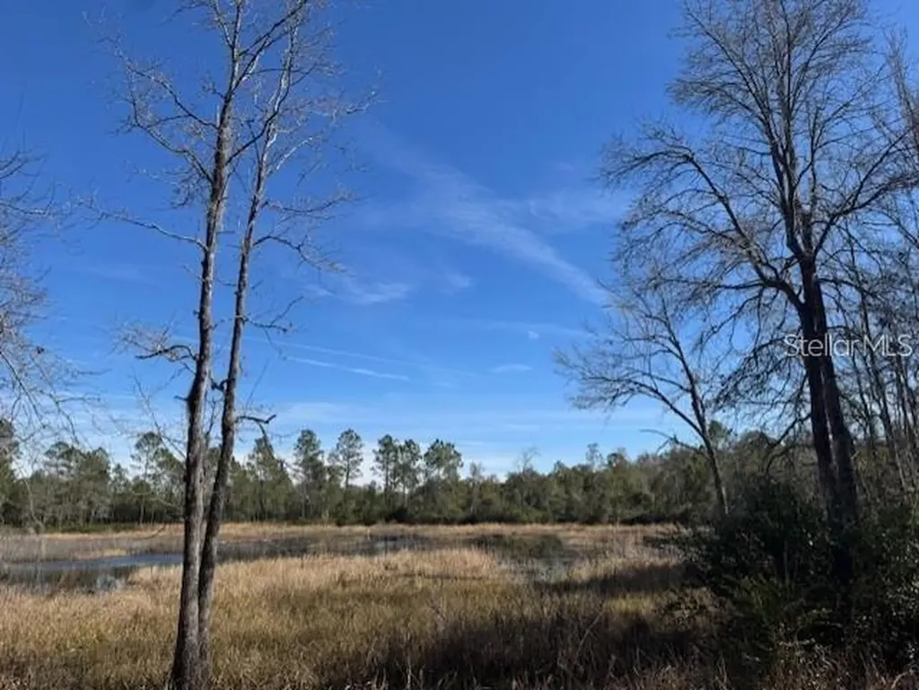 NE 150th Avenue Road Fort Mc Coy FL 32134