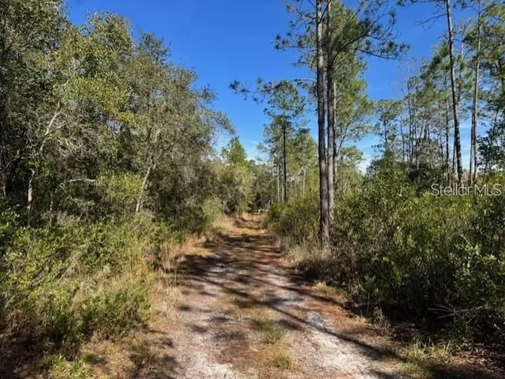 NE 150th Avenue Road Fort Mc Coy FL 32134