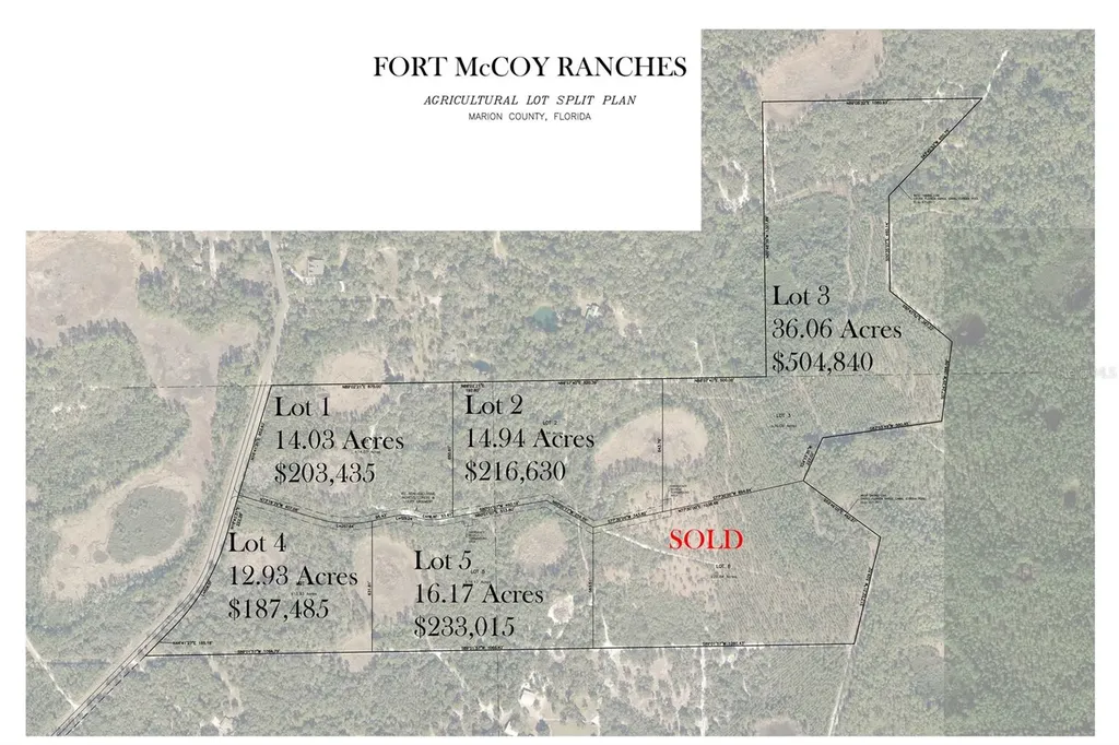 NE 150th Avenue Road Fort Mc Coy FL 32134