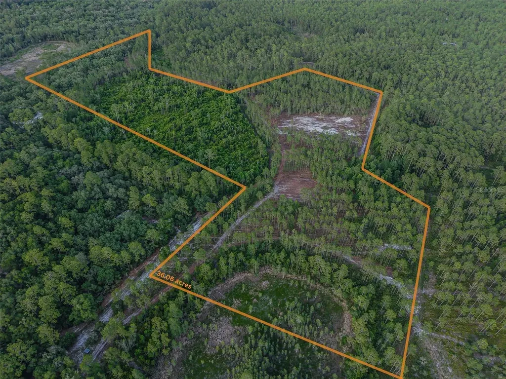 NE 150th Ave Road Fort Mc Coy FL 32134