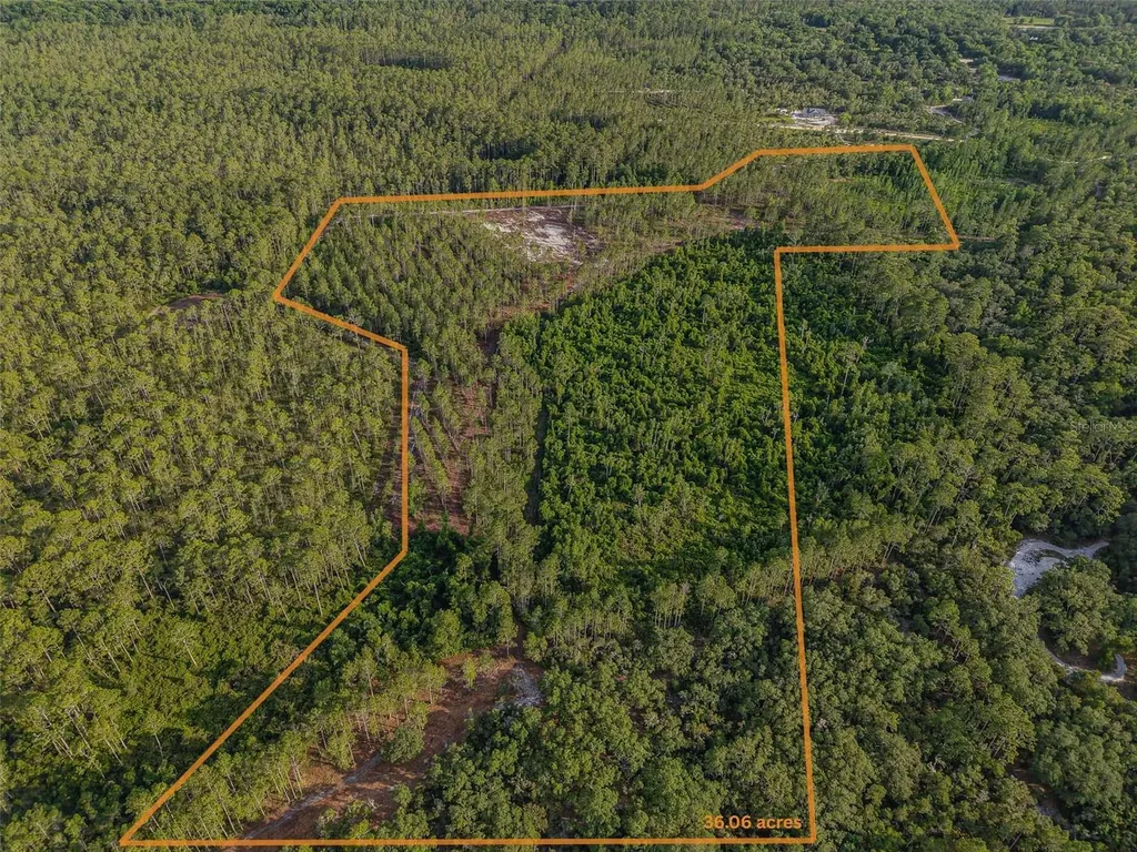NE 150th Ave Road Fort Mc Coy FL 32134