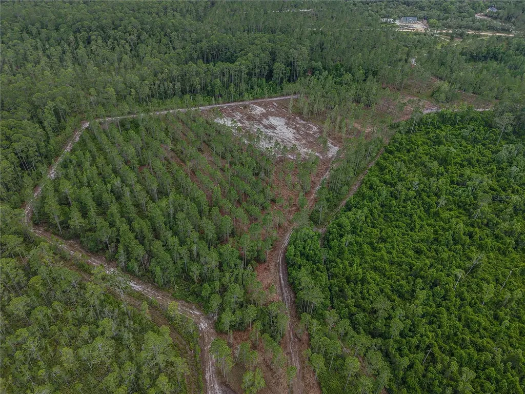 NE 150th Ave Road Fort Mc Coy FL 32134