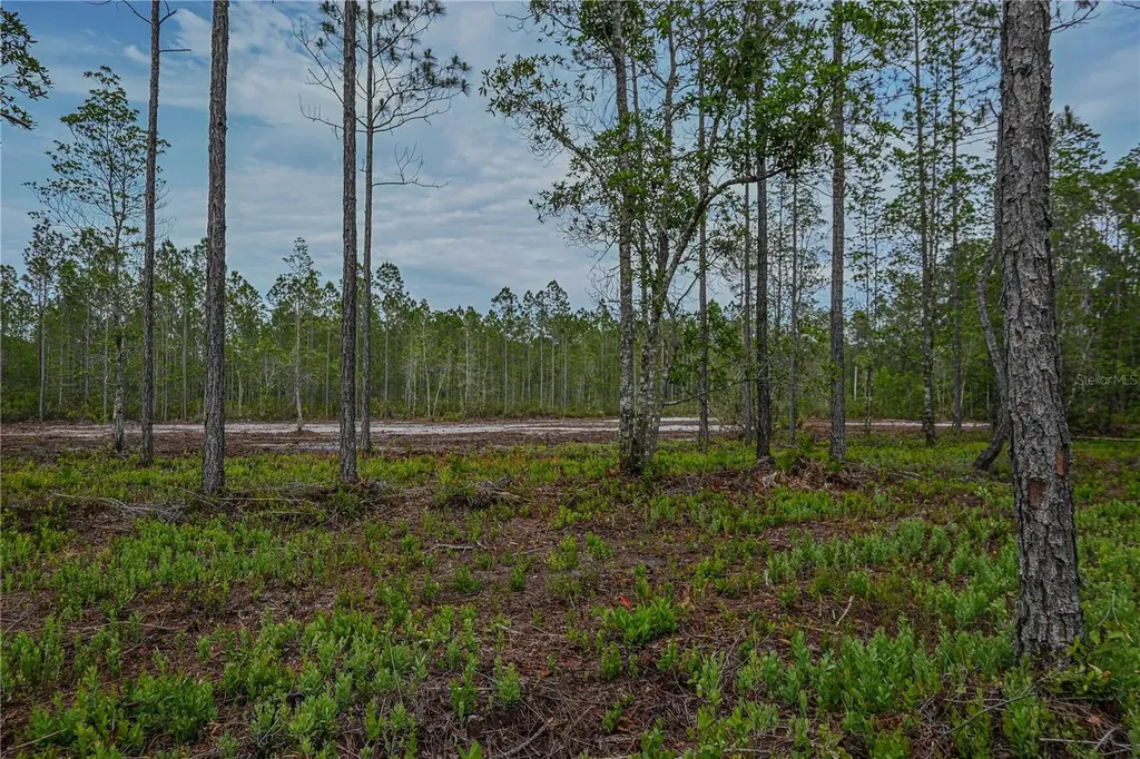 NE 150th Ave Road Fort Mc Coy FL 32134