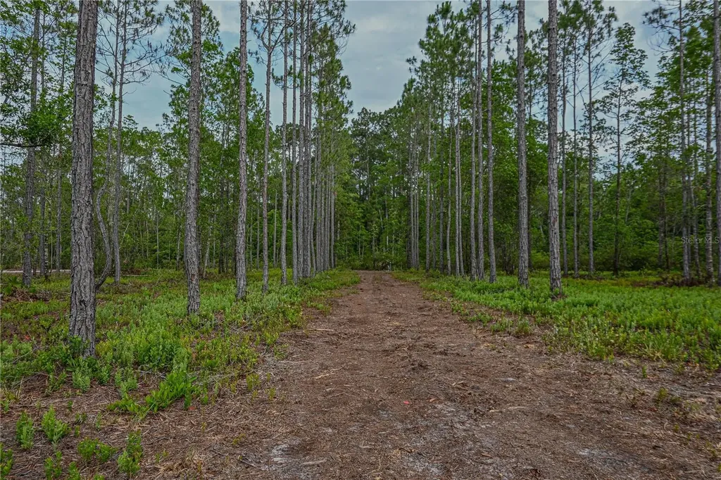 NE 150th Ave Road Fort Mc Coy FL 32134