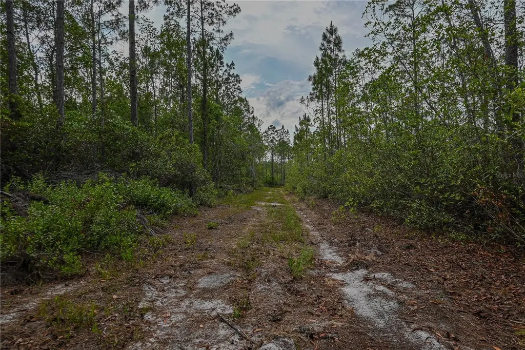 NE 150th Ave Road Fort Mc Coy FL 32134