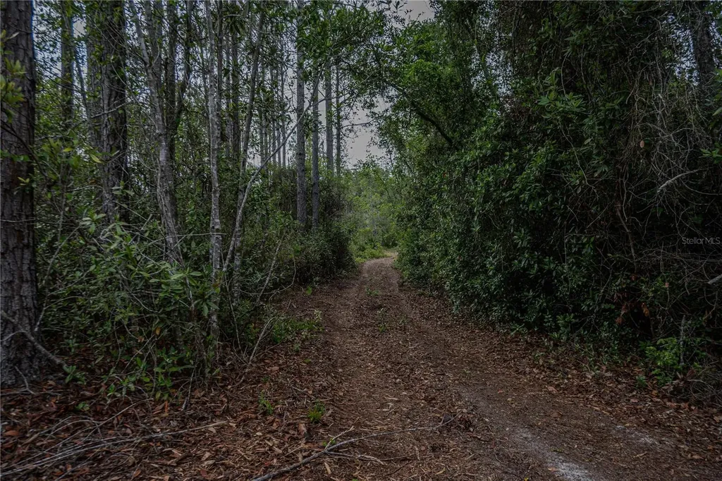 NE 150th Ave Road Fort Mc Coy FL 32134
