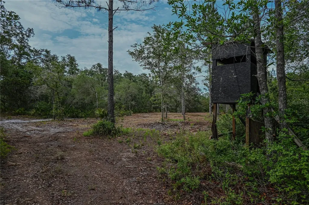 NE 150th Ave Road Fort Mc Coy FL 32134