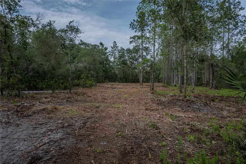 NE 150th Ave Road Fort Mc Coy FL 32134