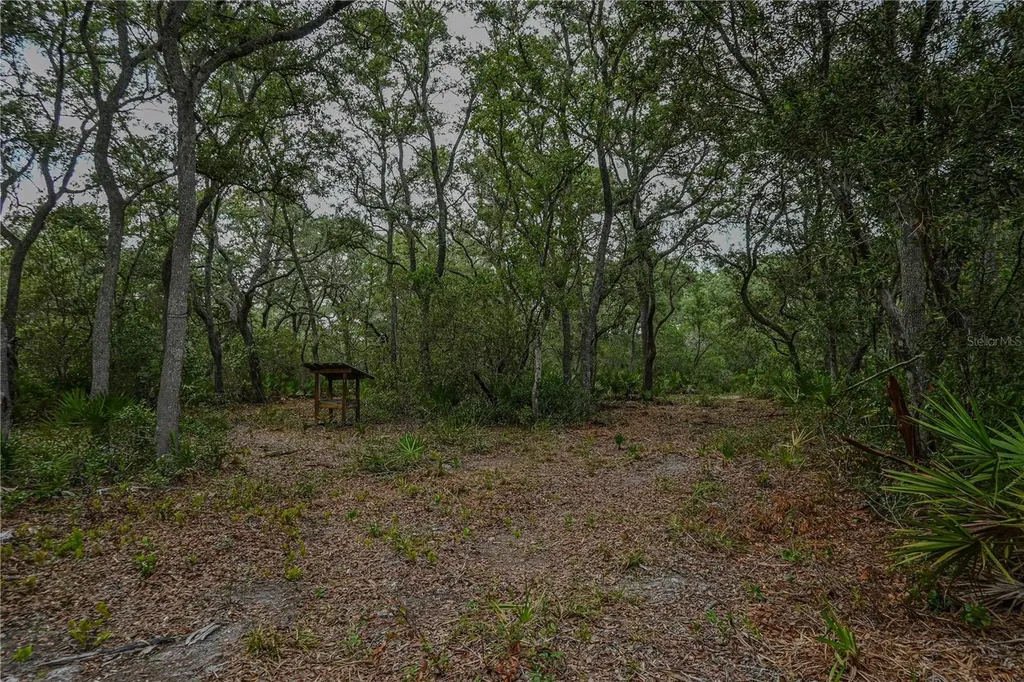 NE 150th Ave Road Fort Mc Coy FL 32134