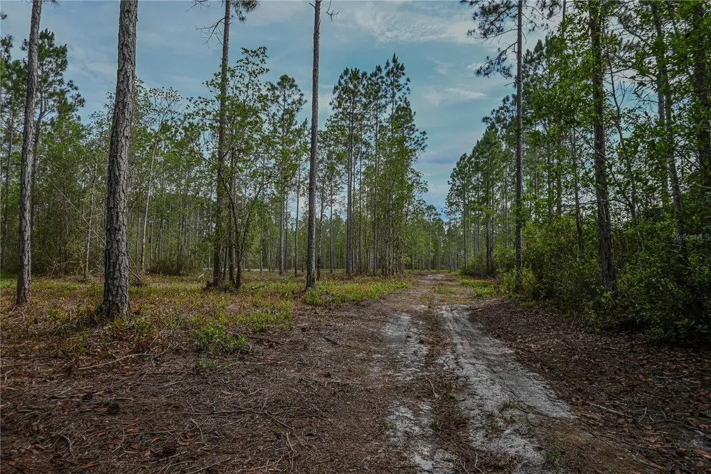NE 150th Ave Road Fort Mc Coy FL 32134