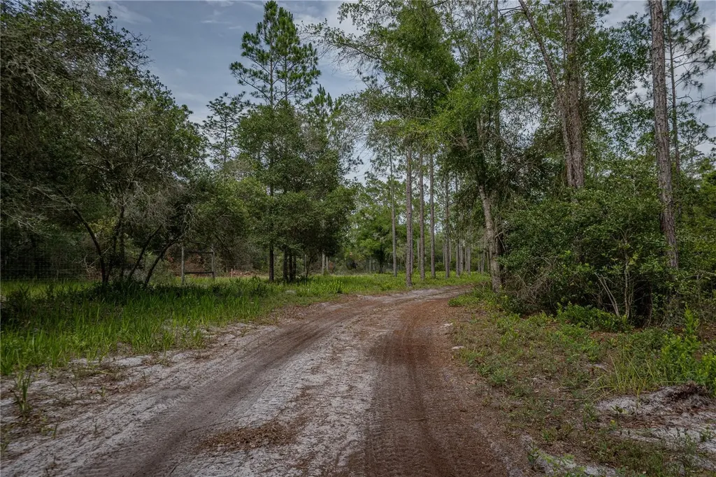 NE 150th Ave Road Fort Mc Coy FL 32134