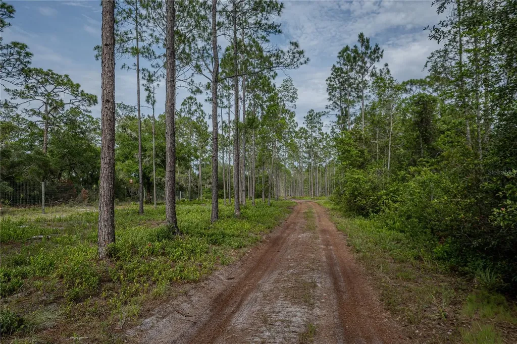 NE 150th Ave Road Fort Mc Coy FL 32134