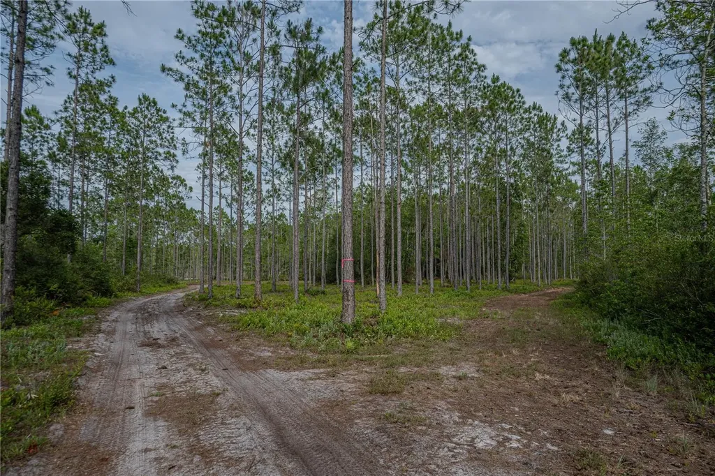 NE 150th Ave Road Fort Mc Coy FL 32134