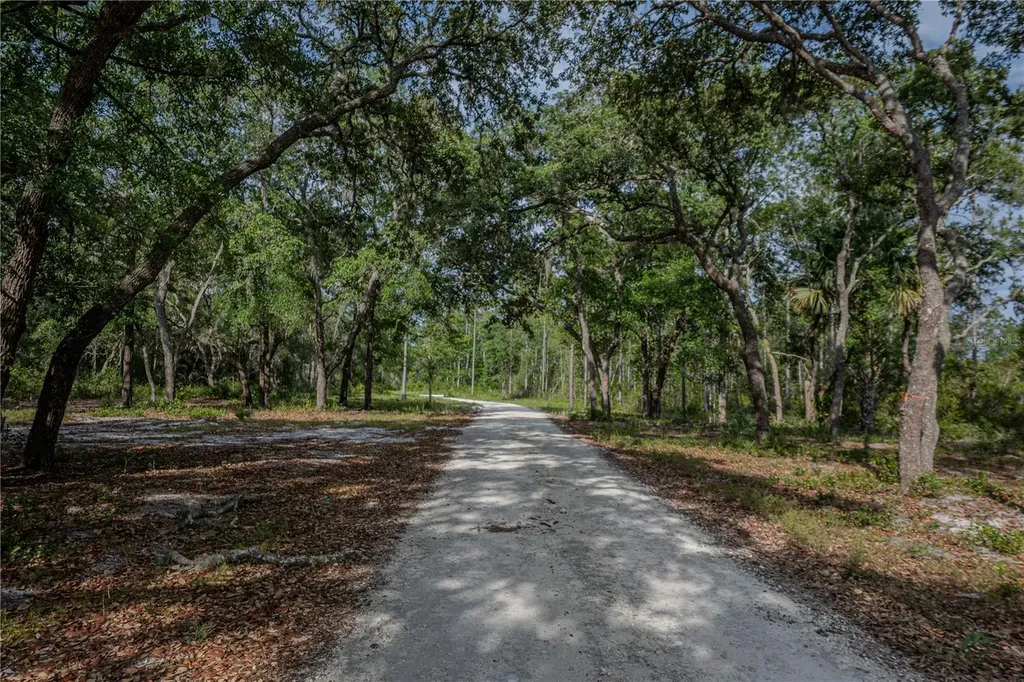 NE 150th Ave Road Fort Mc Coy FL 32134