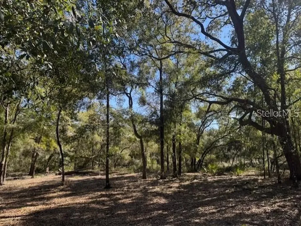 NE 150th Avenue Road Fort Mc Coy FL 32134