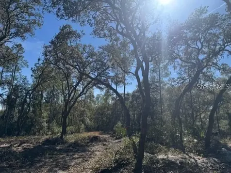 NE 150th Avenue Road Fort Mc Coy FL 32134